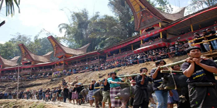 Toraja's Rambu Solo: A Funeral Rite Like No Other